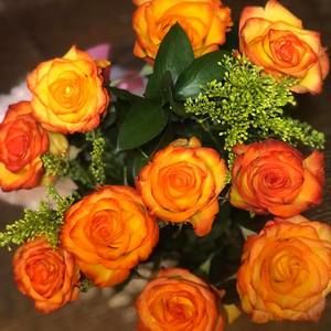 Meet your Posher, Christy